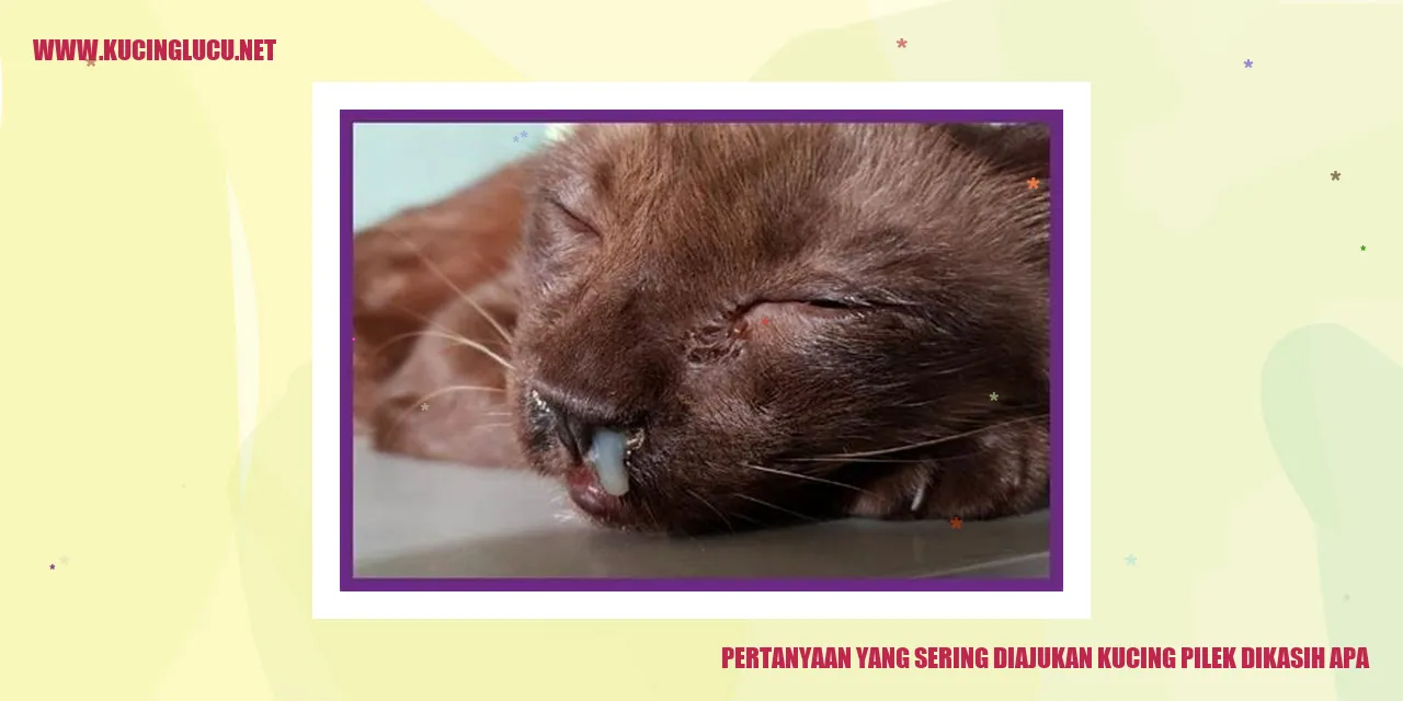 Kucing Pilek