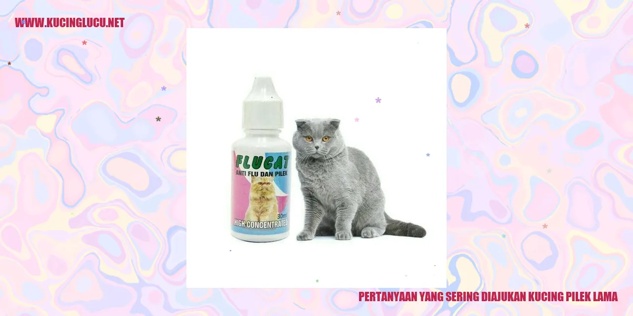 Ilustrasi kucing yang sedang pilek