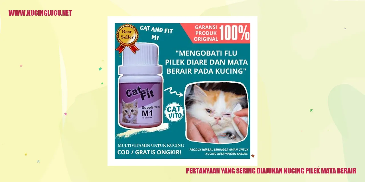 kucing pilek mata berair
