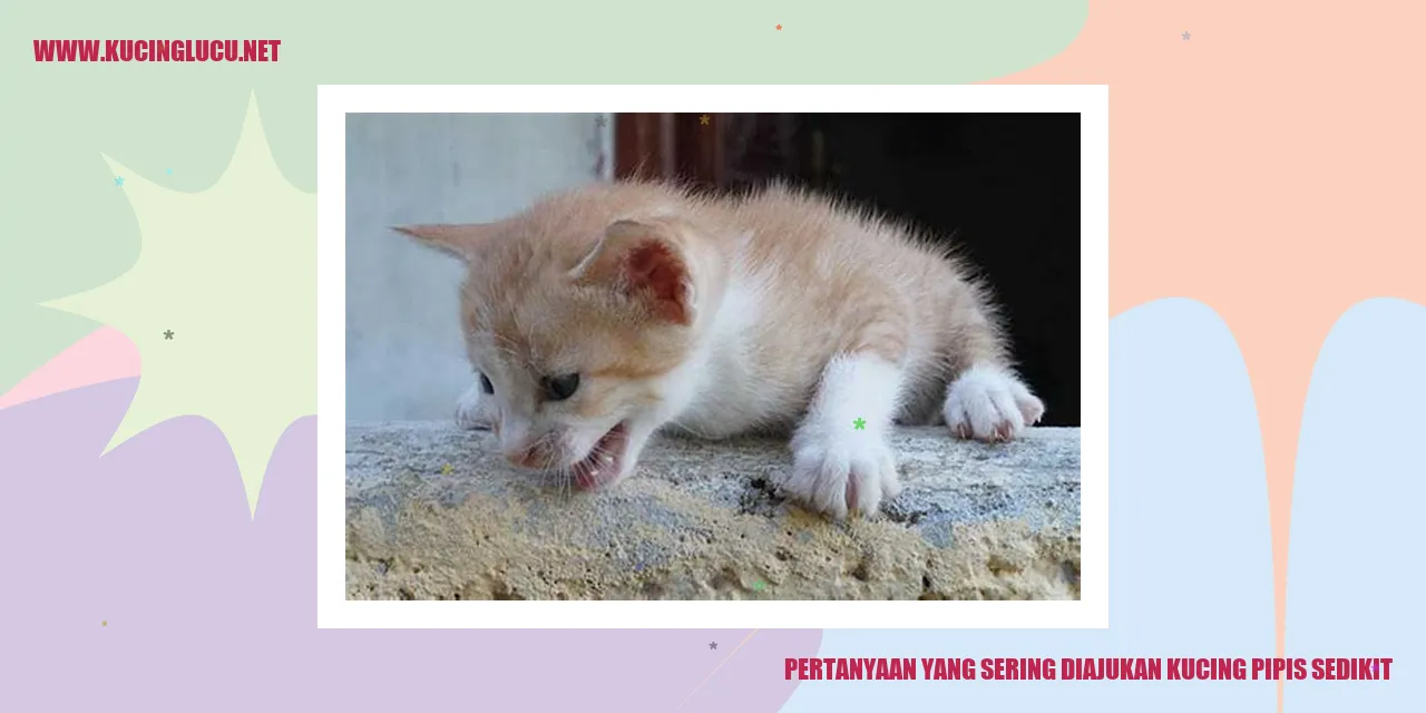 Ilustrasi Seekor Kucing