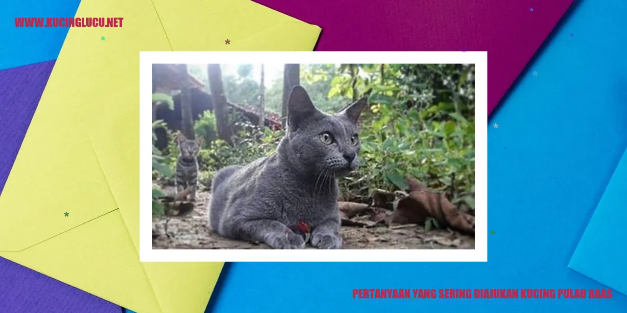 kucing pulau raas