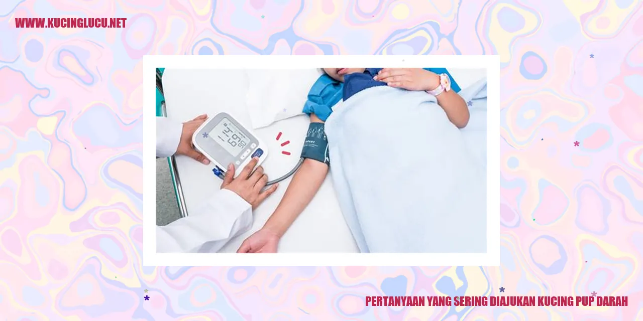 Gambar kucing pup darah