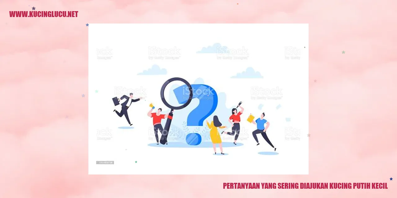 Gambar Kucing Putih Kecil