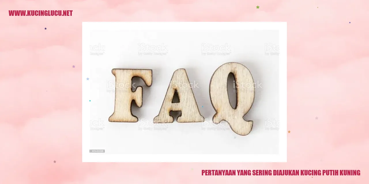 Gambar Kucing Putih Kuning