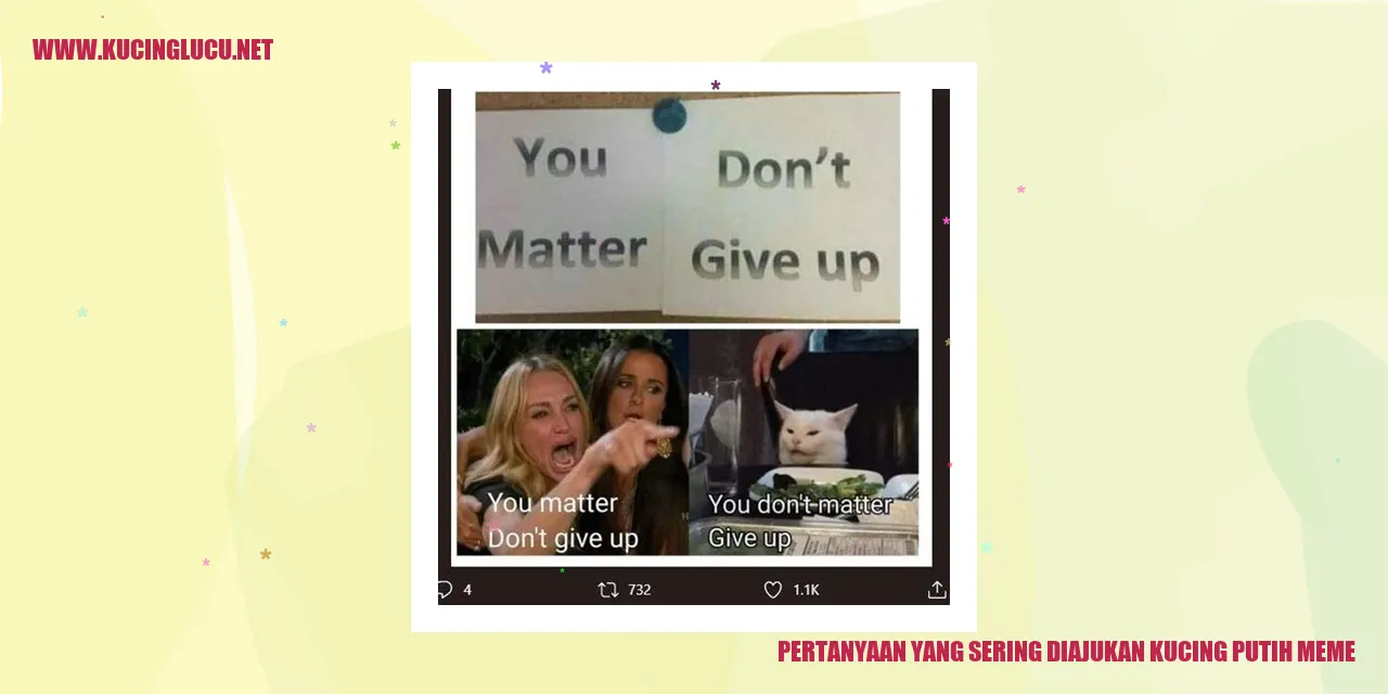 gambar kucing putih meme
