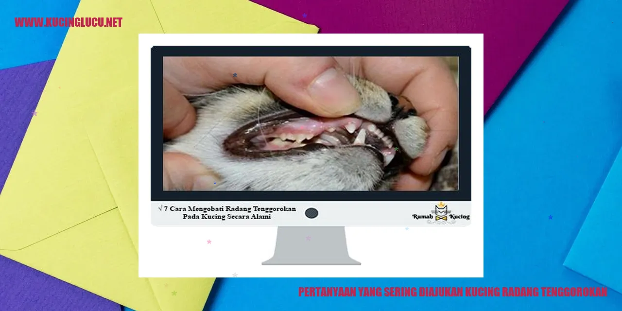 Gambar kucing dengan radang tenggorokan