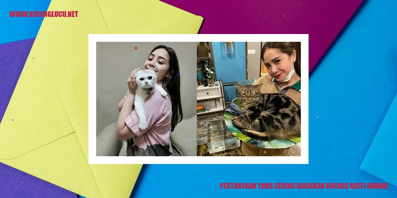 kucing raffi ahmad