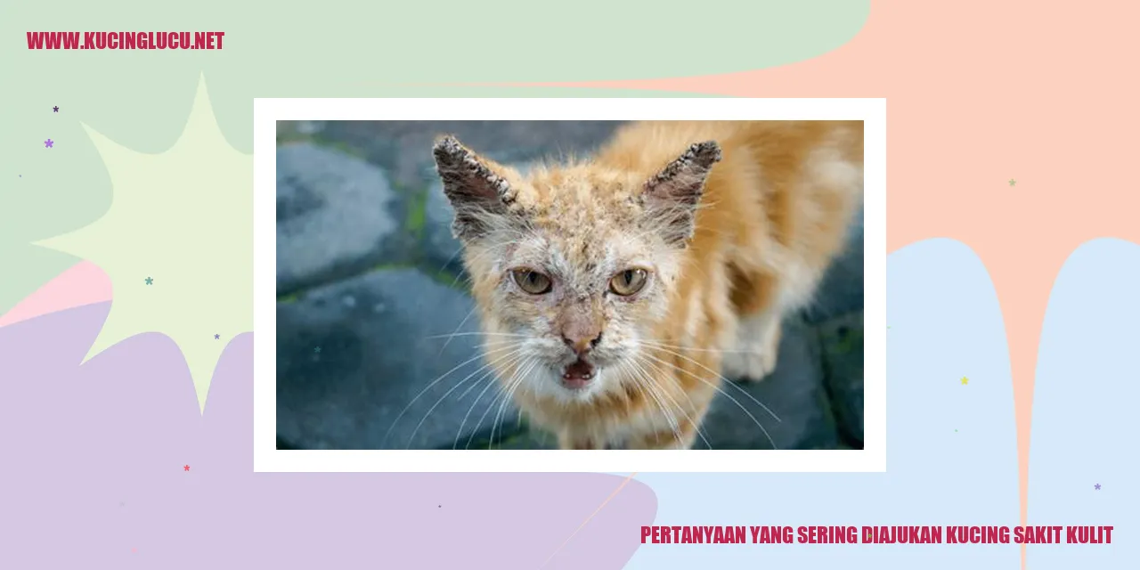 Kucing Sakit Kulit