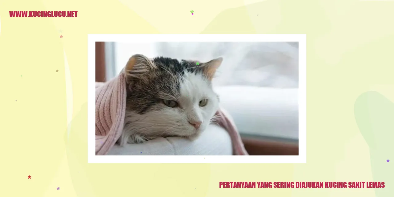Gambar Kucing yang Mengalami Kelelahan