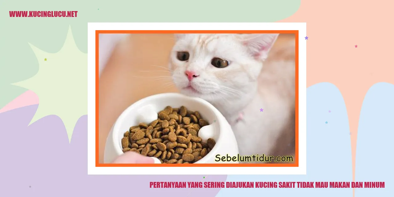 Pertanyaan yang Sering Diajukan Kucing Sakit Tidak Mau Makan dan Minum