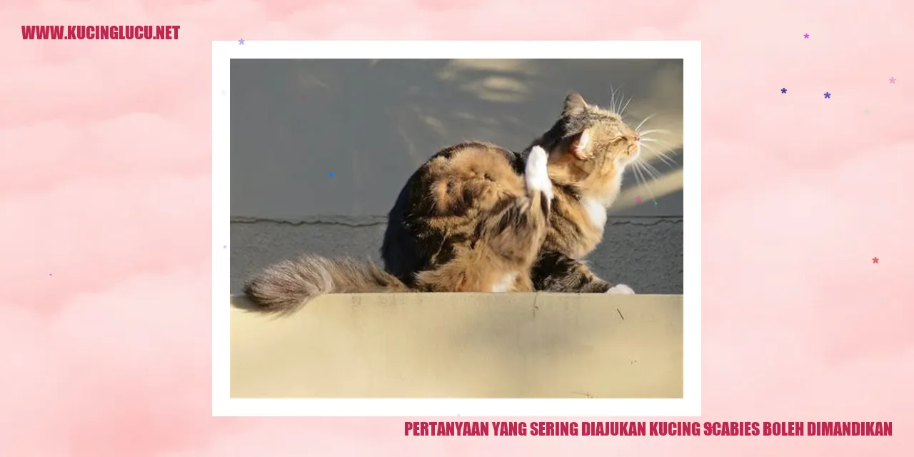 Ilustrasi kucing sedang dimandikan oleh pemiliknya