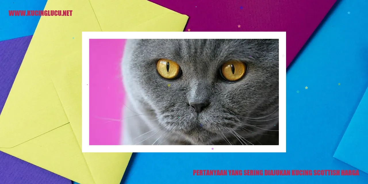 Pertanyaan yang Sering Diajukan kucing scottish harga