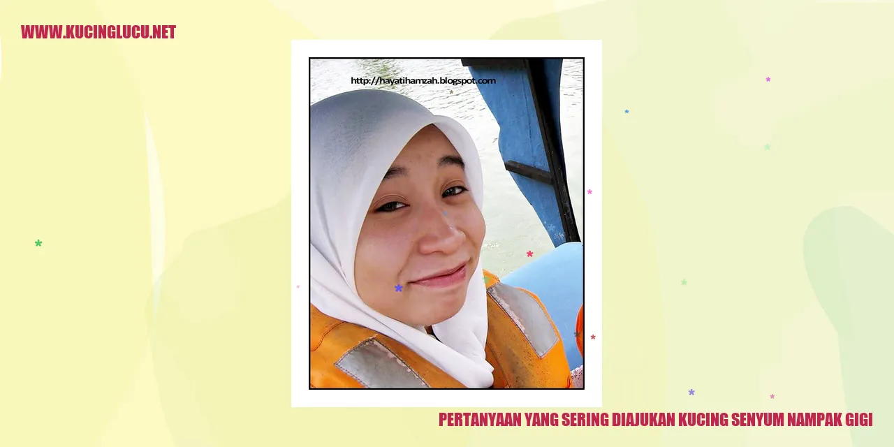 Kucing tersenyum menunjukkan gigi