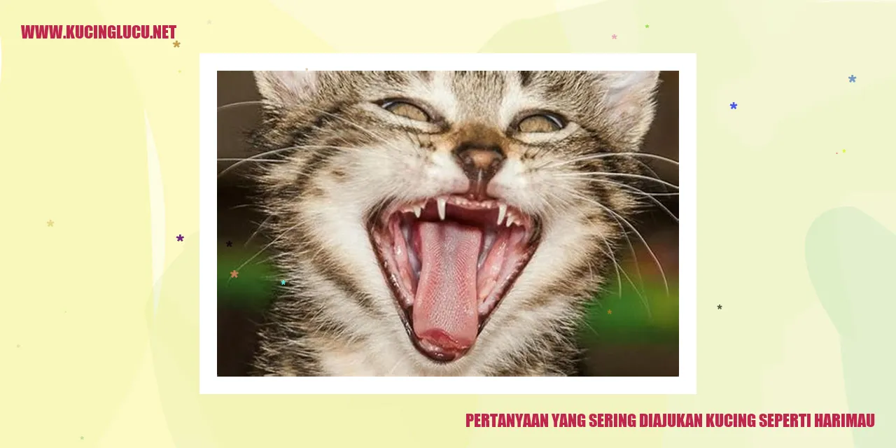 Kucing Seperti Harimau