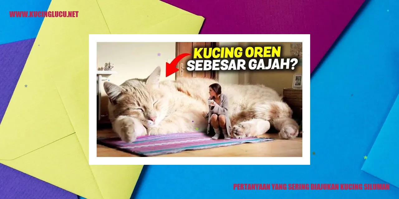 Kucing Siluman
