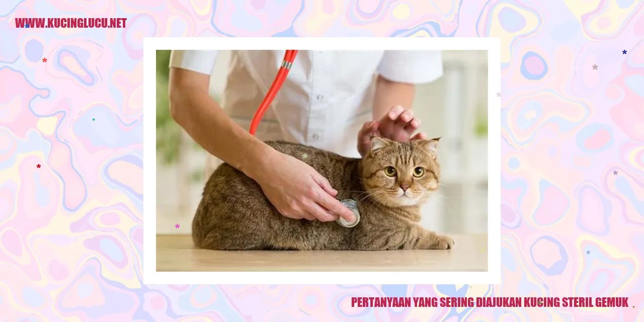 Ilustrasi seekor kucing dalam bingkai