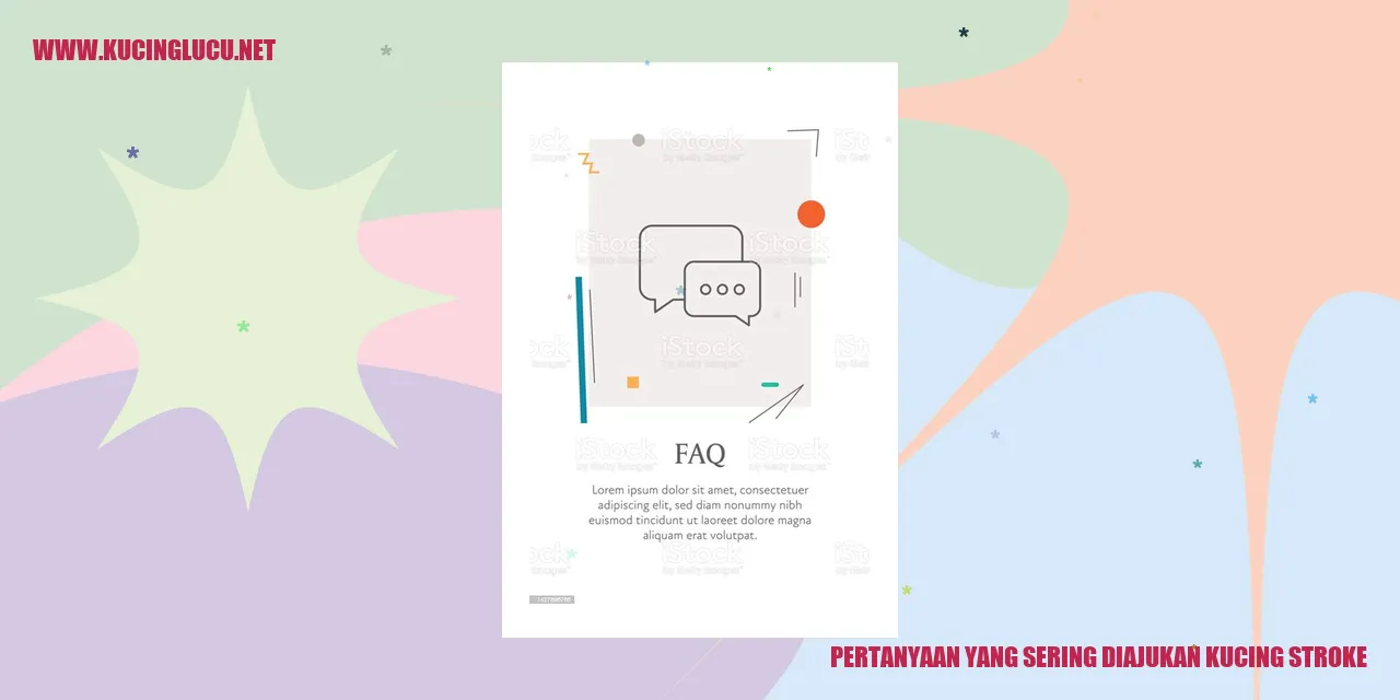 Pertanyaan yang Sering Diajukan kucing stroke