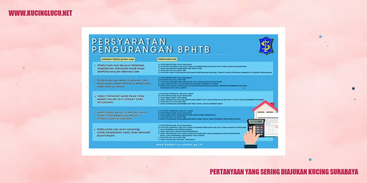 Kucing Surabaya