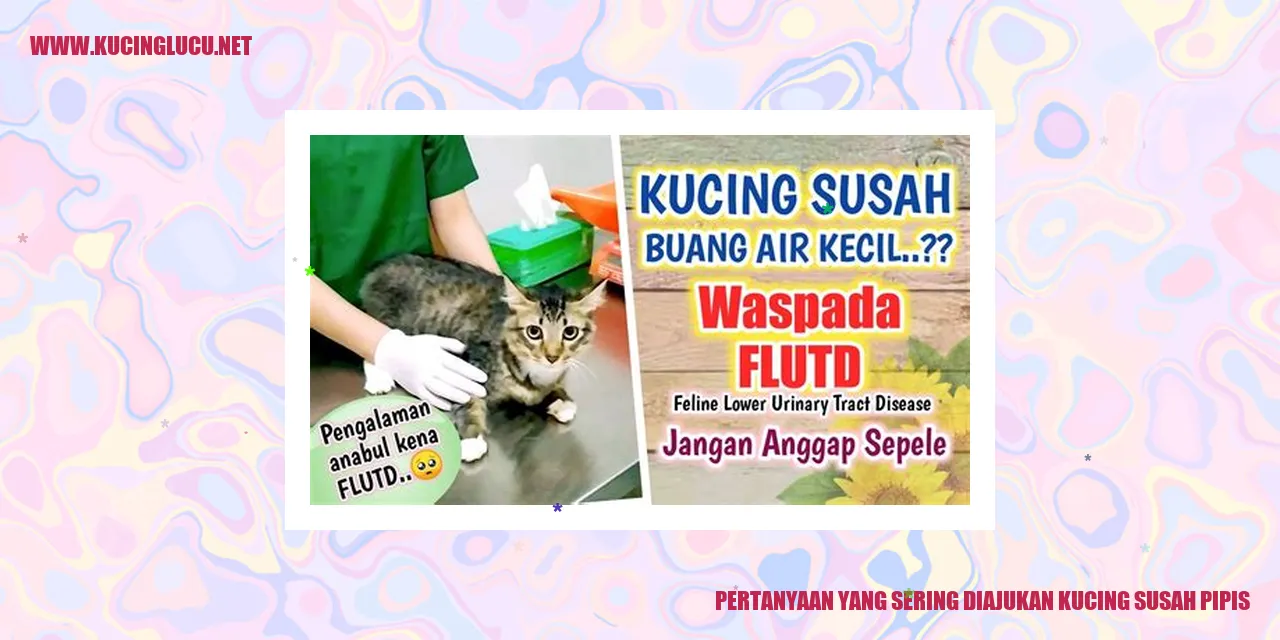 Gambar Ilustrasi: Kucing Mengalami Kesulitan Buang Air Kecil