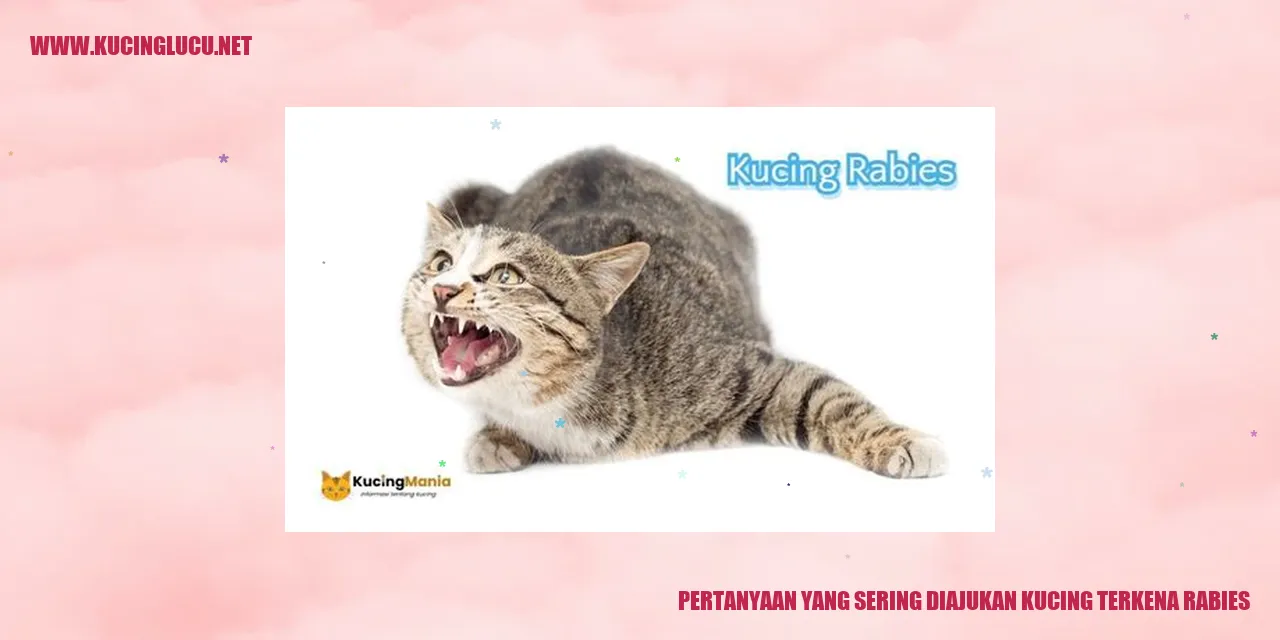 Pertanyaan yang Sering Diajukan kucing terkena rabies