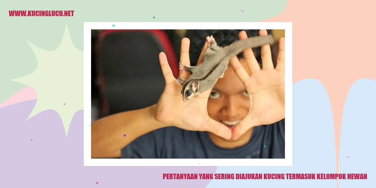 Gambar Kucing