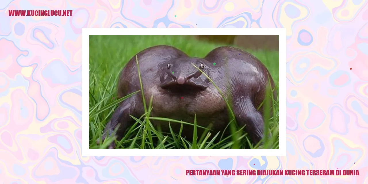 Pertanyaan yang Sering Diajukan kucing terseram di dunia