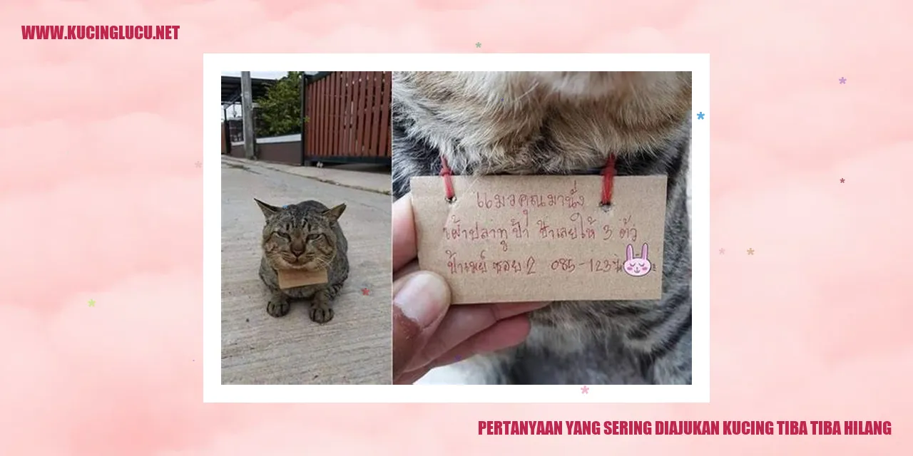 Pertanyaan yang Sering Diajukan ketika Kucing Tiba-tiba Hilang
