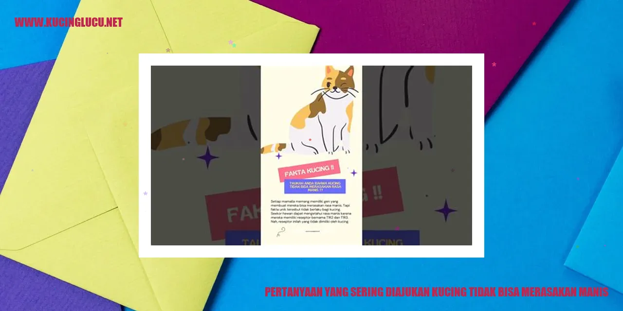 Ilustrasi Kucing