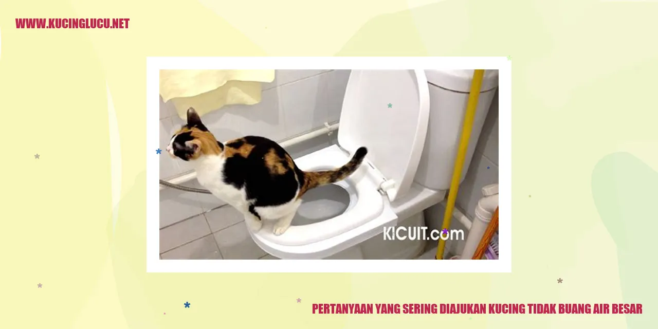 Kucing Tidak Buang Air Besar