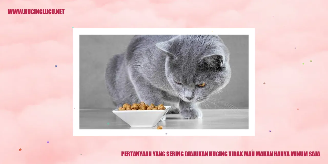 Ilustrasi Kucing