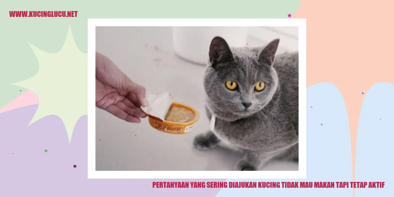 Pertanyaan yang Sering Diajukan: Kucing Tidak Mau Makan tapi Tetap Aktif