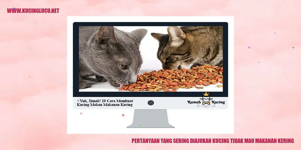 Kucing tidak mau makanan kering