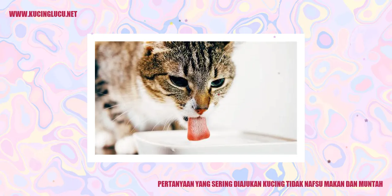 Ilustrasi kucing tidak nafsu makan dan muntah