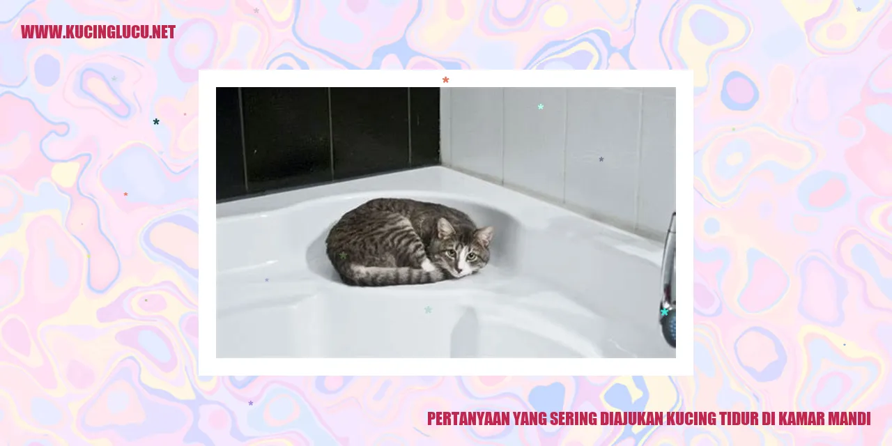 Kucing tidur di kamar mandi