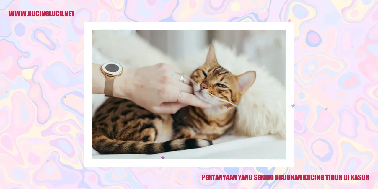 Kucing tidur di kasur