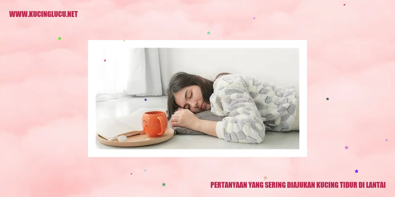 Kucing tidur di lantai