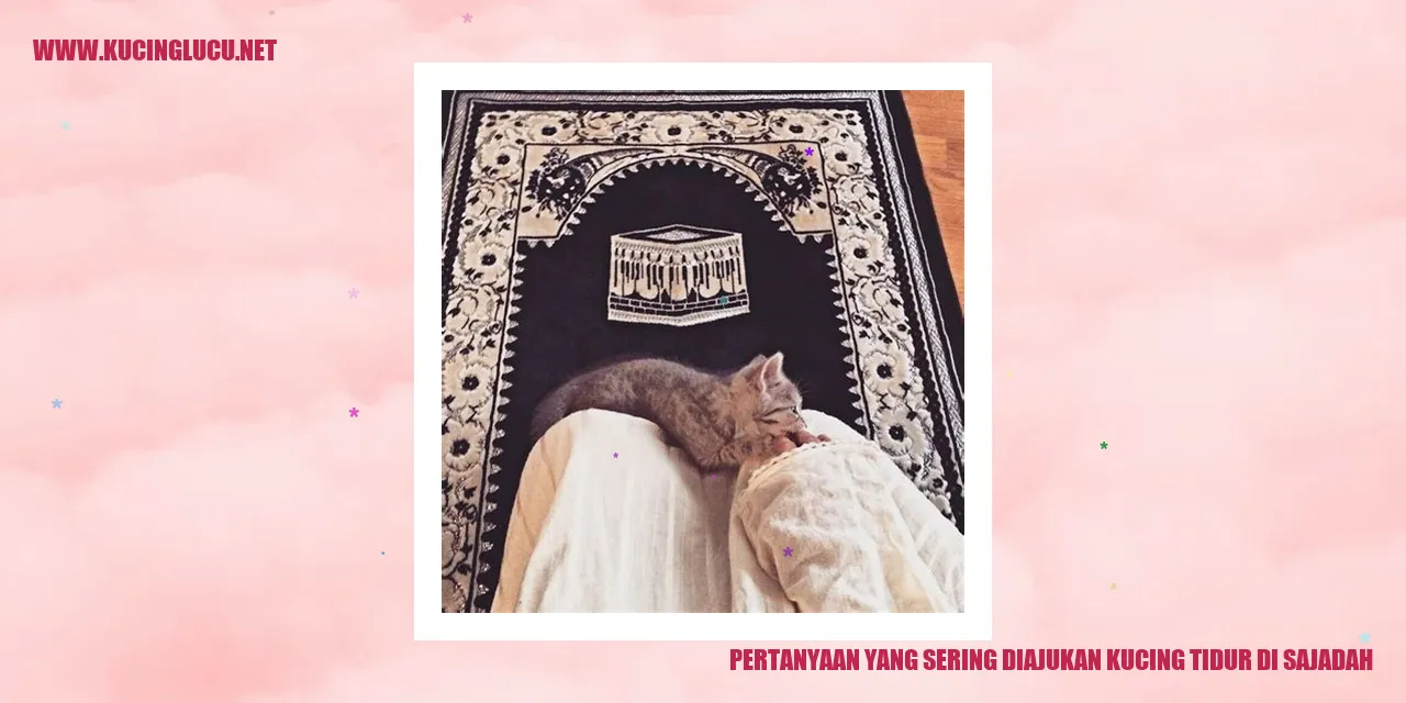 Gambar Kucing Rileks di Sajadah