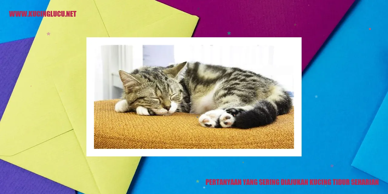 Kucing sedang tidur