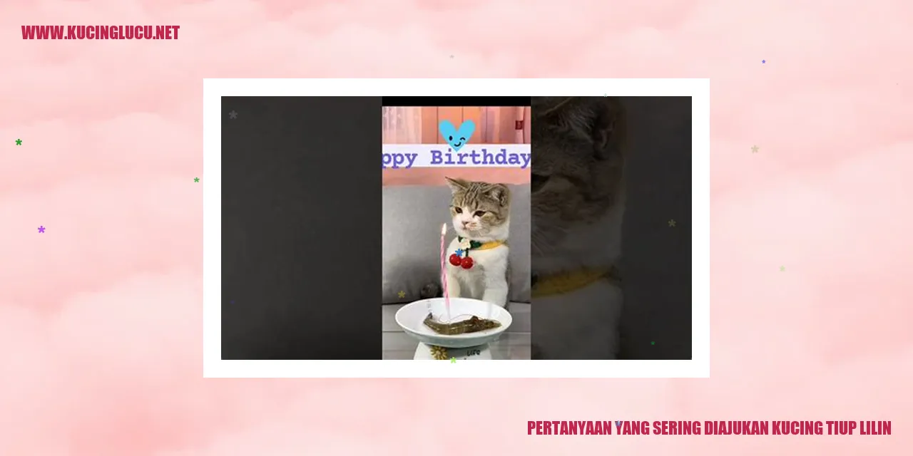 Kucing dengan pola warna bulu yang mirip dengan lilin
