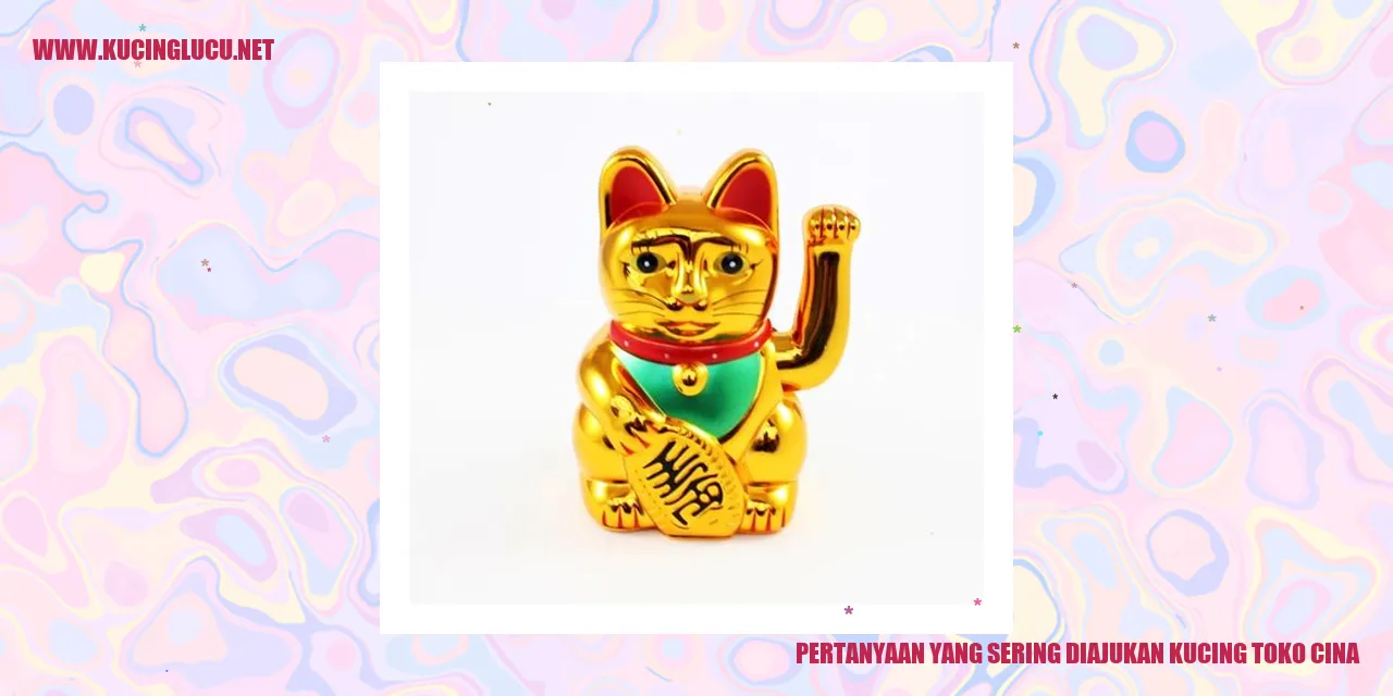 Kucing Toko Cina