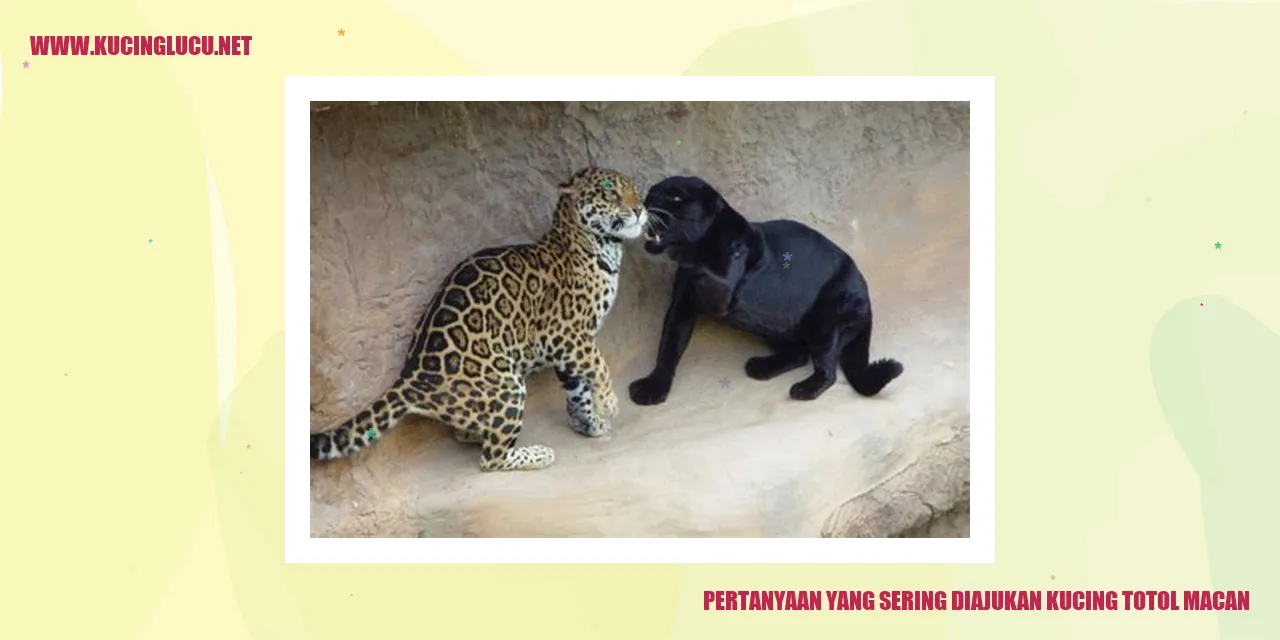 Kucing Totol Macan