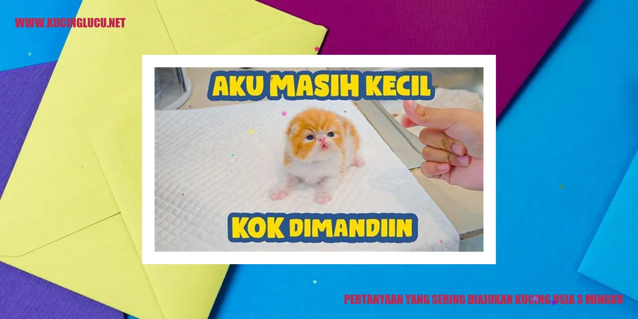 Ilustrasi Kucing Berusia 3 Minggu
