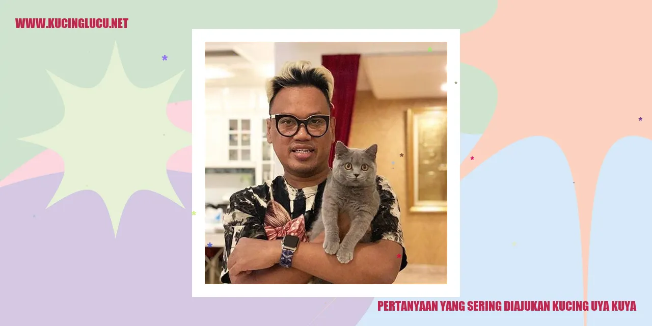 foto kucing Uya Kuya