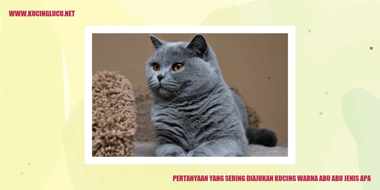 Kucing Berwarna Abu-abu