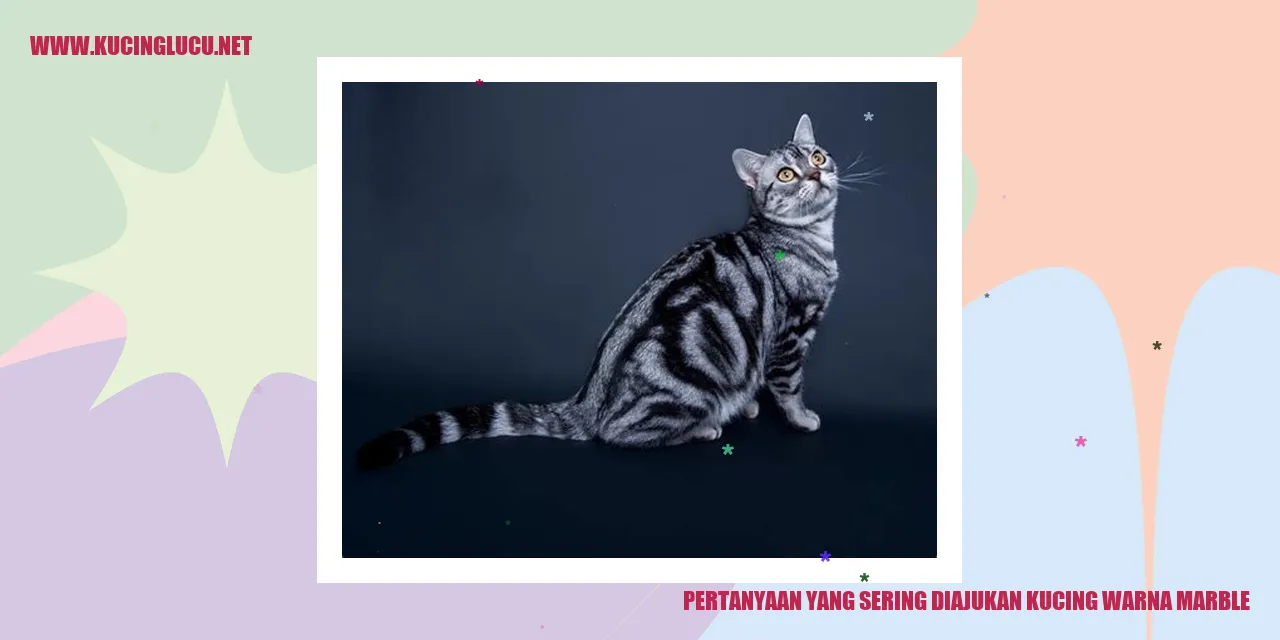 Kucing Warna Marble
