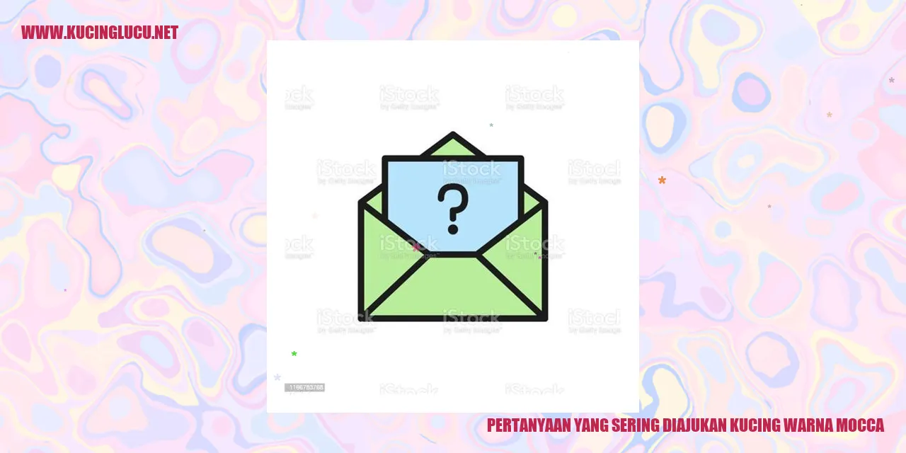 Pertanyaan yang Sering Diajukan tentang Kucing Warna Mocca