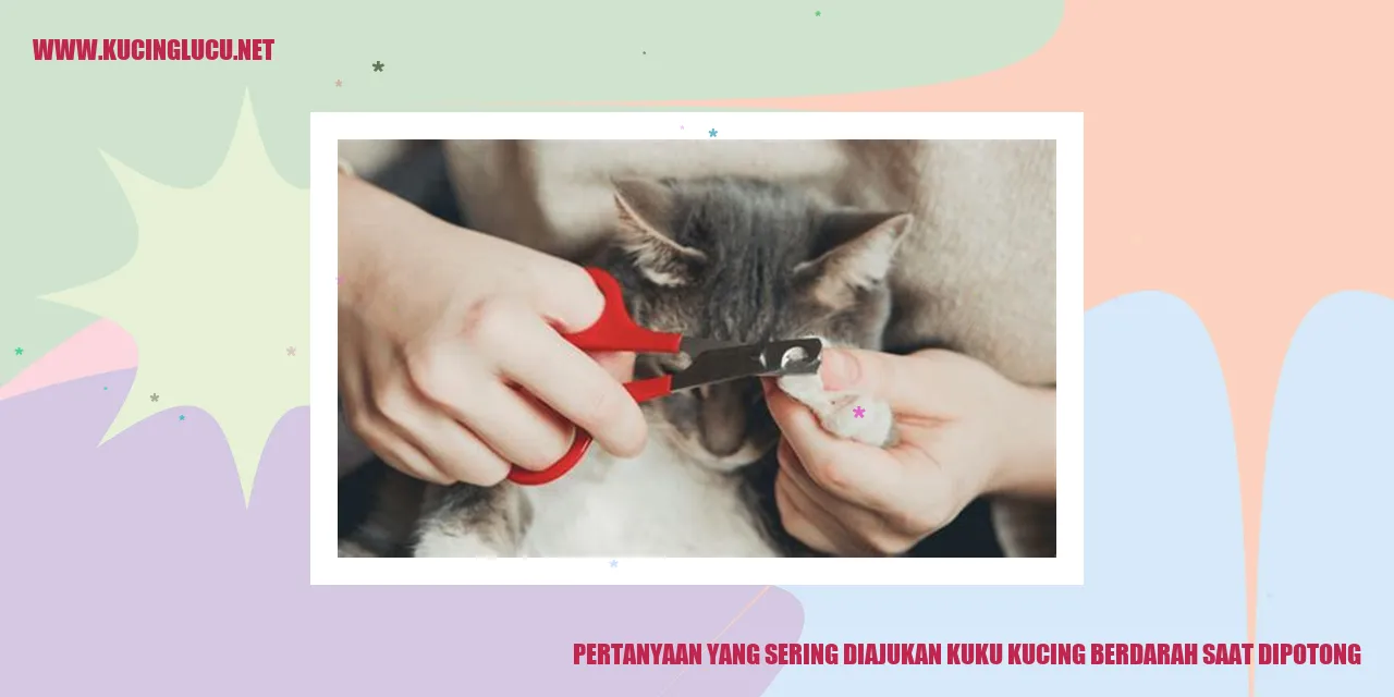Kucing bertanya tentang proses memotong kuku