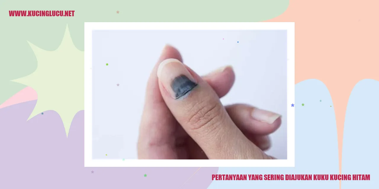 Kucing Hitam