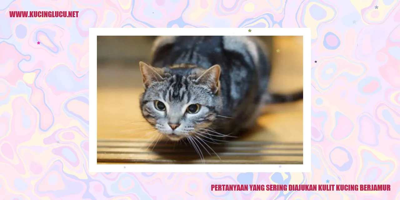 Pertanyaan yang Sering Diajukan kulit kucing berjamur