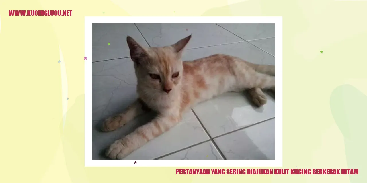 Kulit Kucing Berkerak Gelap